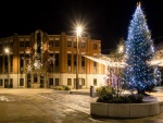 Árbol de Navidad iluminado al anochecer en la ciudad