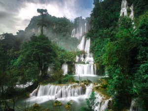 Impresionantes cascadas entre los árboles (Tailandia)
