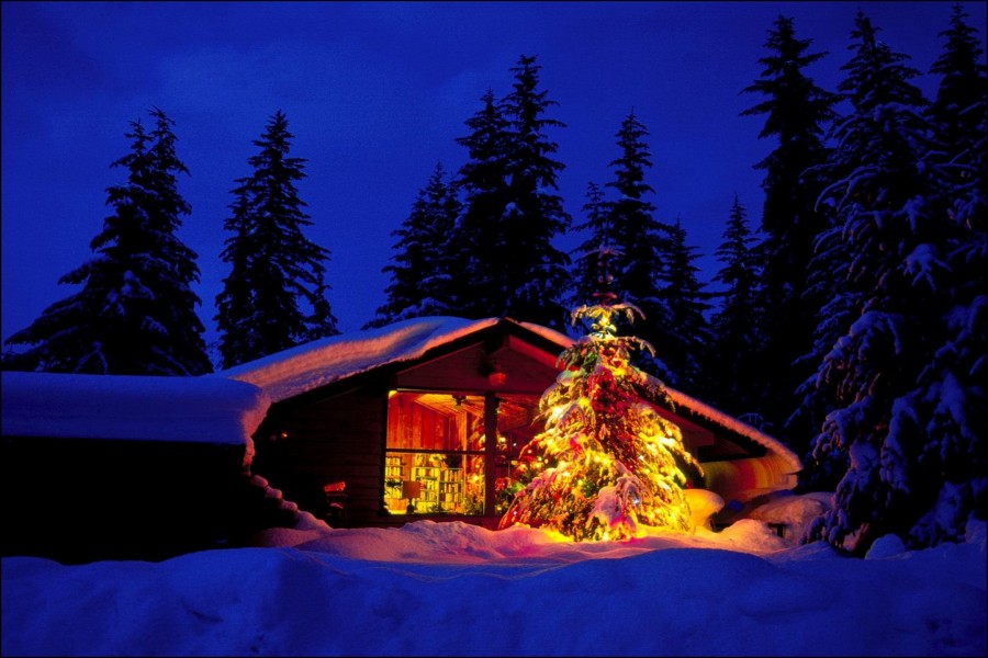 Árbol de Navidad junto a una cabaña