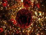 Bolas brillando en un árbol de Navidad