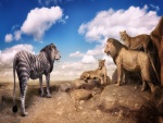 Insólito león junto a otros leones