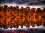 Árboles de otoño reflejados en el agua