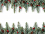 Ramas de un árbol de Navidad