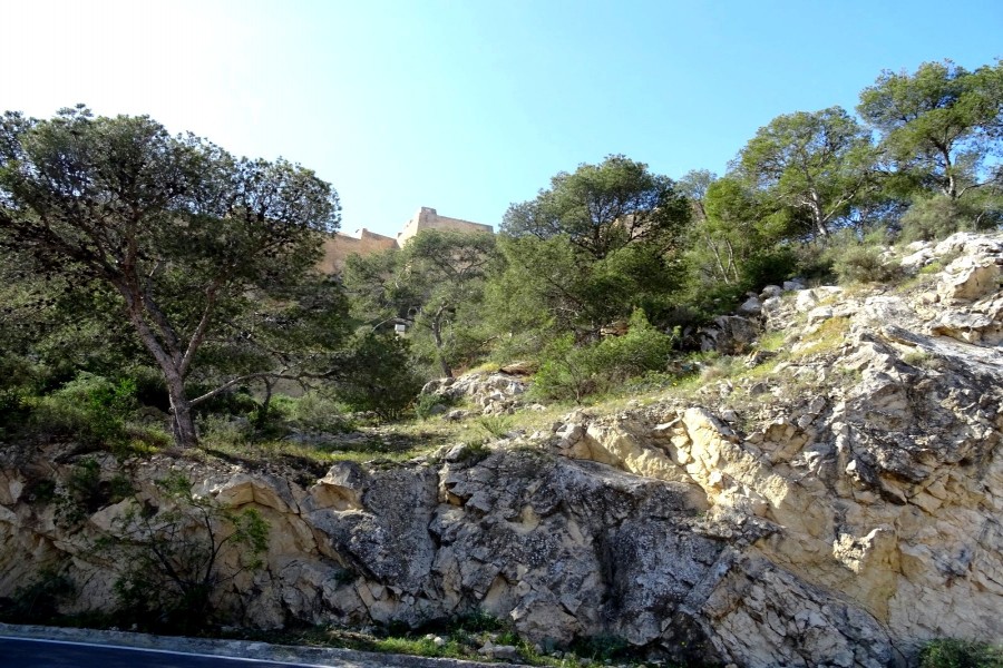 Vista del castillo de Santa Barbara (Alicante)