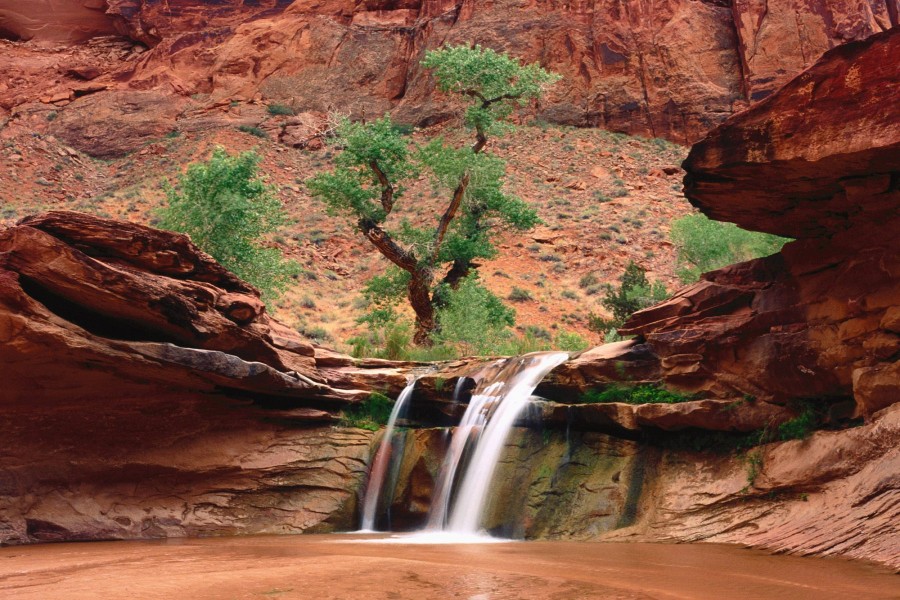 Río en Coyote Gulch (Utah)