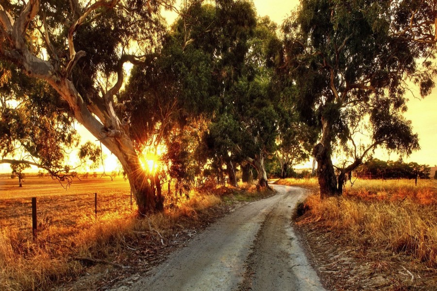 Camino rural en Australia