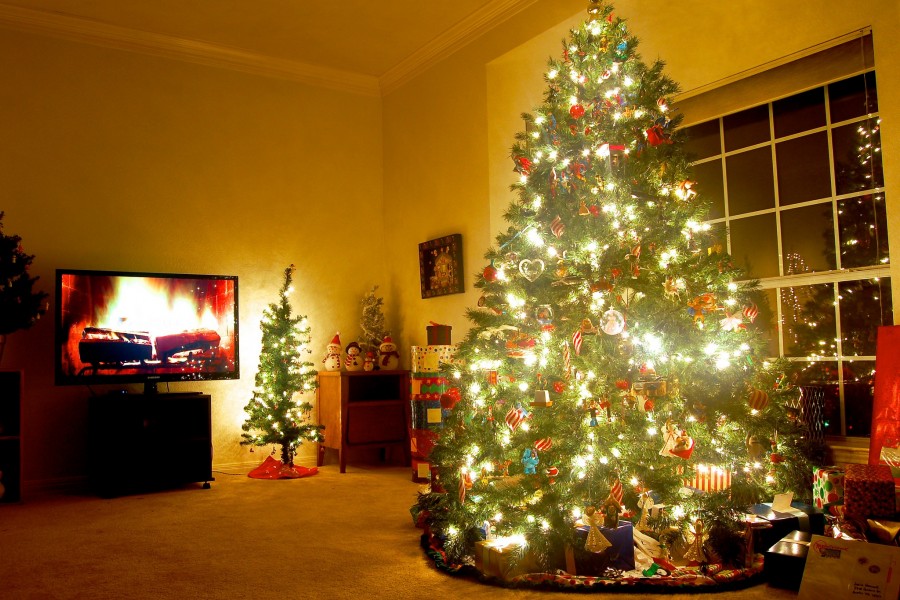 Varios árboles de Navidad en un salón