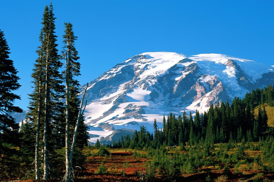 Monte Rainier (Washington)
