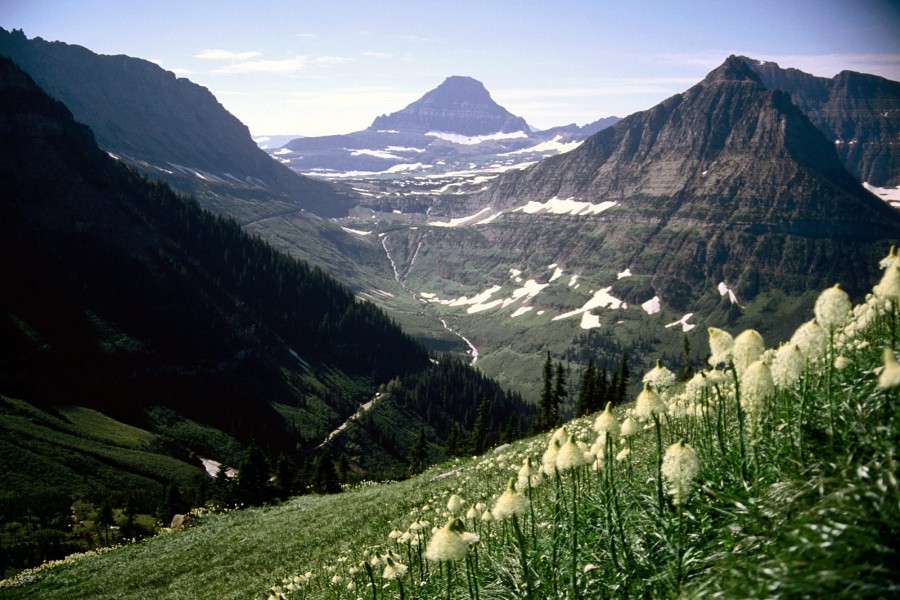 Monte Reynolds (Parque Nacional de los Glaciares, Montana)
