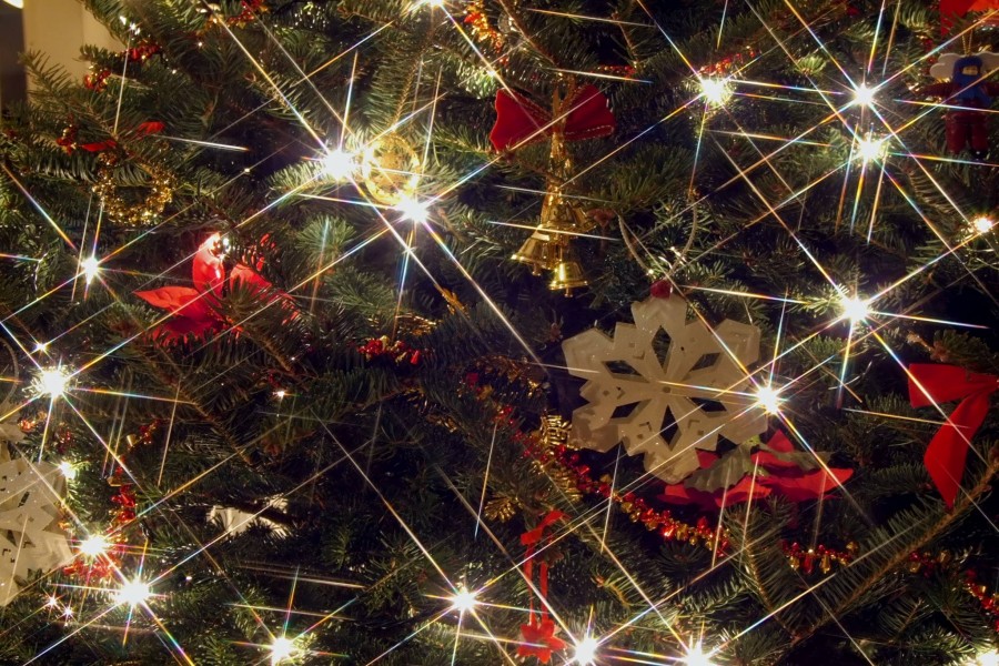 Destellos en el árbol de Navidad