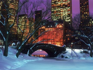 Nieve en Central Park