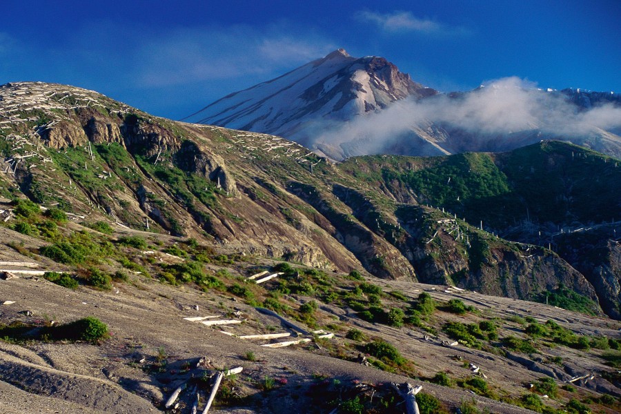 Monte Santa Helena (Washington)