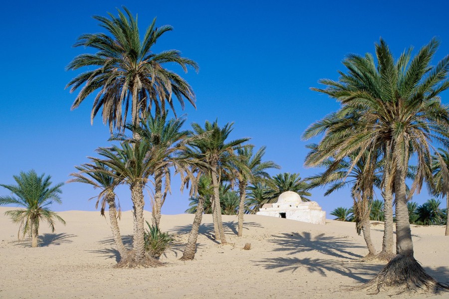 Desierto del Sahara (Túnez)