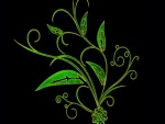 Ramas con hojas verdes