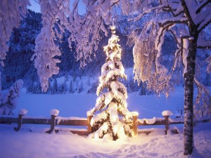 Árbol de Navidad en la nieve