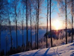 Sol brillando sobre un paisaje nevado
