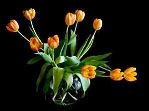 Tulipanes amarillos en un jarrón