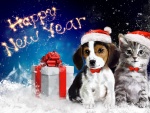 Perrito y gatito celebrando el Año Nuevo