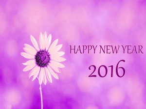 Que tengan un "Feliz Año Nuevo 2016"