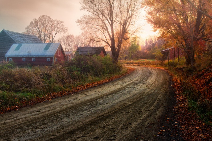 Carretera en otoño