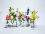 Atractivas y coloridas flores en recipientes de vidrio