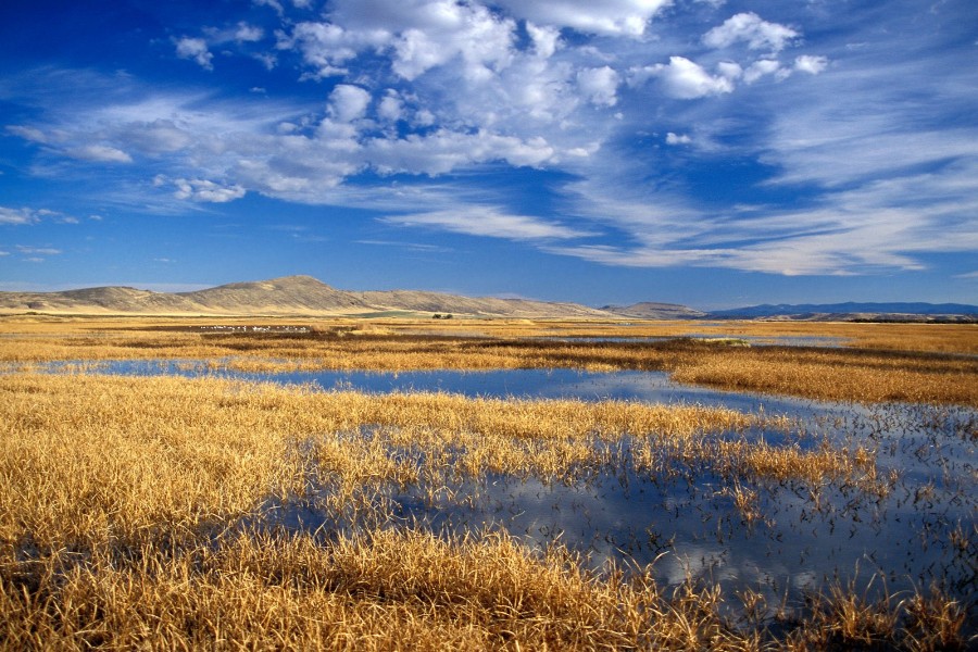 Lago en Lower Klamath National Wildlife Refuge (California)