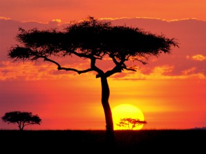 Atardecer en el Masai Mara