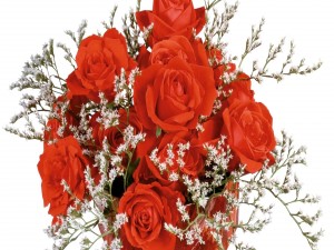 Elegante ramo de rosas rojas y flores blancas