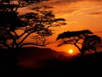 Amanecer en el Parque Nacional Serengueti (Tanzania, África)