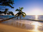 Sol brillando en una playa tropical