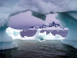 Icebergs en la Antártida