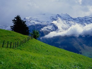 Montañas Suizas