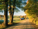 Camino rural