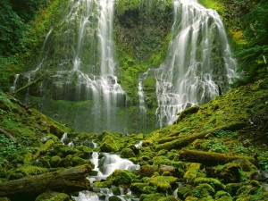 Postal: Hermosas cascadas en una zona verde
