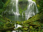 Hermosas cascadas en una zona verde