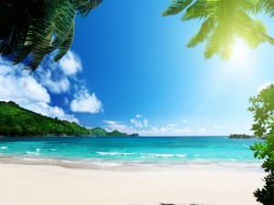 Sol y  playa en las islas Vírgenes