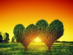El sol brillando entre dos árboles con forma de corazón