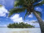 Isla cubierta de palmeras