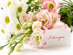 Ramo de margaritas y rosas con un mensaje de amor