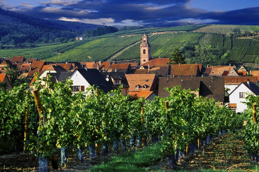 Vista de Riquewihr (Francia)