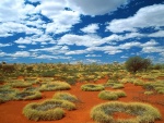 Pequeño Desierto Arenoso (Australia)