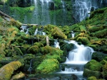Hermosas cascadas en Oregón