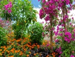 Arbustos con gran variedad de flores