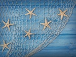 Estrellas de mar en una red de pesca