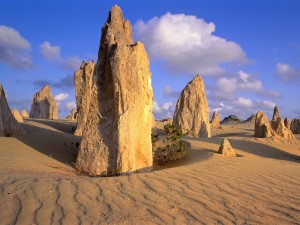 The Pinnacles Desert (Nambung National Park, Australia)