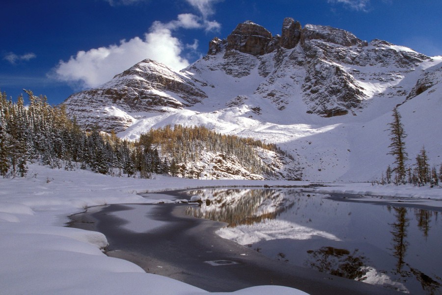 Invierno en un paraje natural