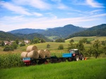 Granjero transportando pastura para sus animales en el campo