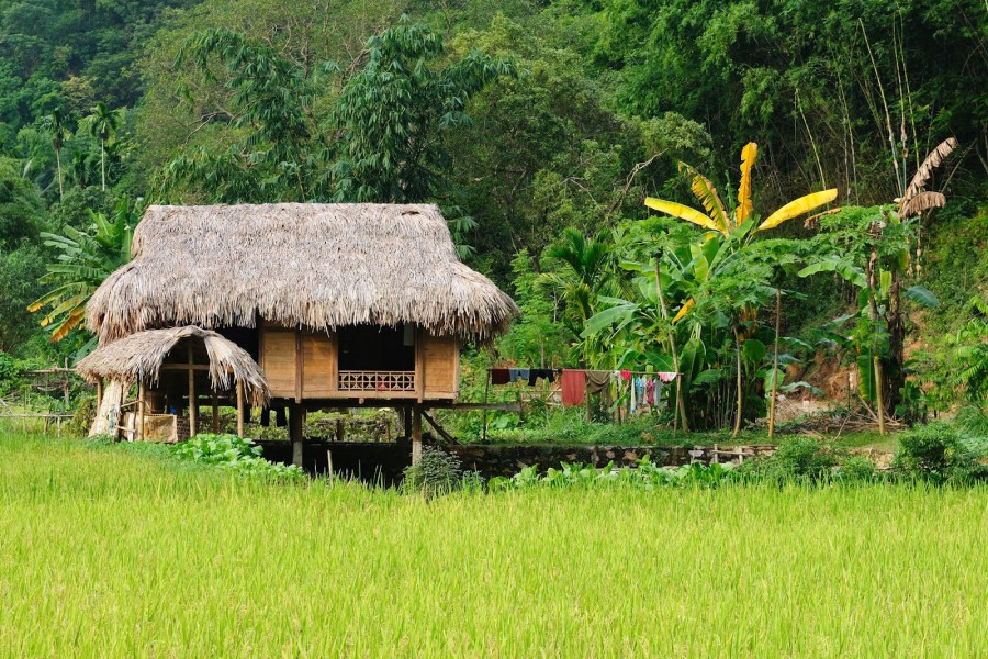 Aldea rural en Vietnam