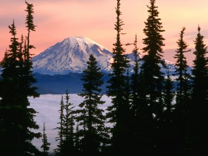 Vista del Monte Rainier (Washington)