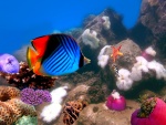 Fondo marino con corales, arrecifes y peces de colores